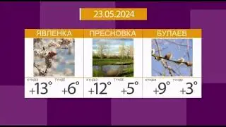 Прогноз Погоды и Основная Заставка (Qyzyljar Казахстан, 23.05.2024)