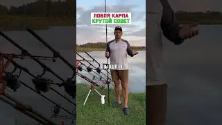 ГДЕ ЛОВИТЬ КАРПА? Точки до ловли #карпфишинг