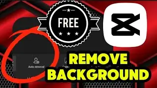 How  to Get  Free Background Removal in Capcut