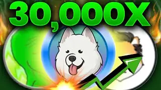 🔥TURN $27 into $4,240,471 WITH TOP 5 BEST CRYPTO MEME COIN?! Dogelon Mars Samoyedcoin |CRYPTO PULSE