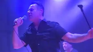 NoRMAhl -Deutsche Waffen (Live in Bayerland - 40 Jahre Diesel und Bier)