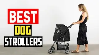 ✅Top 5 Best Dog Strollers in 2024