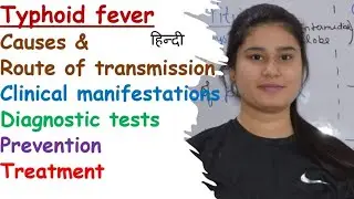 Typhoid Fever | Cause | Symptoms | Clinical Manifestation | Diagnosis | Prevention | Treatment