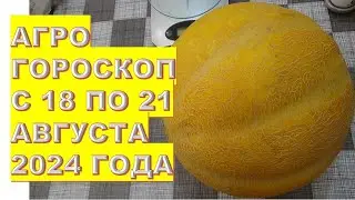 Агрогороскоп с 18 по 21 августа 2024 года Agrohoroscope from August 18 to 21, 2024