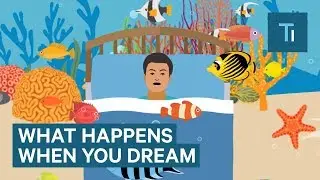 What Happens To Your Brain When You Dream