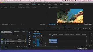 Media Management in Adobe Premiere Pro CC - Larry Jordan PowerUp Webinar 