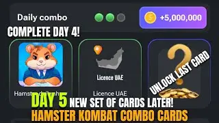 HAMSTER KOMBAT DAILY COMBO! UNLOCK NEW CARDS, HAMSTER KOMBAT NEWS 2024