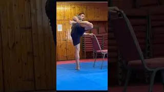 More hip mobility for the roundhouse kick - mawashi geri #martialarts #hipmobility #karate #kicks