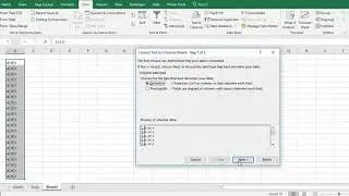 "Text to columns" function of excel