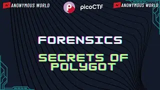 Secrets of Polygot Pico CTF 2024 Walkthrough | Forensics | Pico CTF 2024