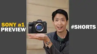 SONY ALPHA a1: WILL IT CHANGE SPORTS PHOTOGRAPHY? 
