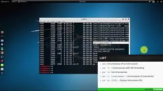 Video 30: Understanding processes | Kali Linux Tutorial For Beginners