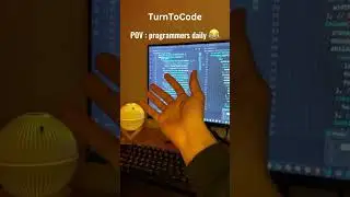 Programmers Routine Actvity   #coding #shortvideos #viralshorts