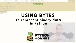 Representing binary data with bytes in Python