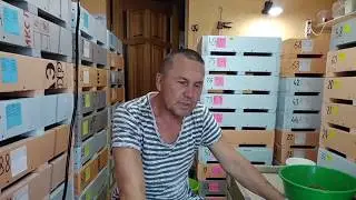 Игра с кормом и комплексное кормление.