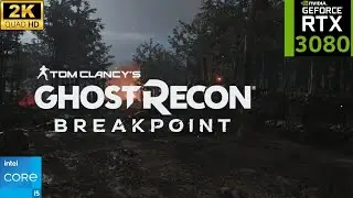 Tom Clancy's Ghost Recon Breakpoint: RTX 3080 10GB + i5 13500 (1440p Ultimate Graphics)