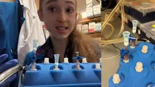 Practical tips for using a vacuum manifold for minipreps and similar spin columns