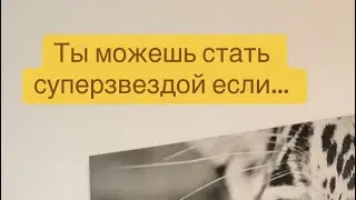 Кем нужно родиться чтобы стать суперзвездой в наше время. ￼