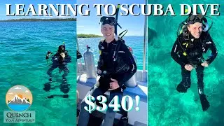 SCUBA DIVE IN BOCAS DEL TORO | Open Water Diver Course, Panama Dive School