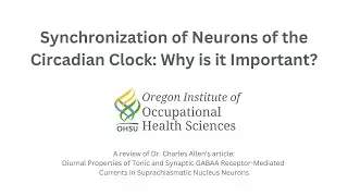 Synchronization of Neurons of the Circadian Clock: Why is it Important?