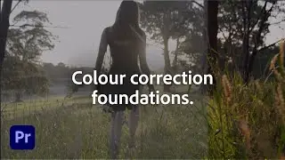 Basics of color correction and colour grading  | Adobe Premiere Pro