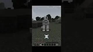 Minecraft moment.☠️#minecraft #shorts