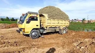 Truk Jomplang, Mobil Truk Pengangkut Tanah Timbunan Cadas Bongkar Muatan Full Bak