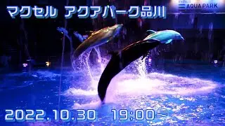 ◆マクセル アクアパーク品川　ドルフィンパフォーマンス　ナイトver.（Dreams Halloween Night）（2022.10.30）19:00~ ◆