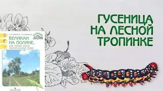 Гусеница на лесной тропинке. Великан на поляне