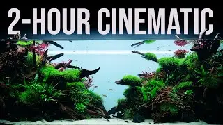 2-Hour RELAXATION | 650-liter NATURE Aquarium | 4K Cinematic