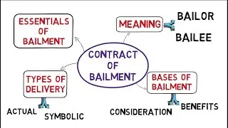 Contract of Bailment [Law of Contracts] [common law system]