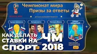 Ninjaworld: КАК делать Ставки на СПОРТ ЧМ 2018