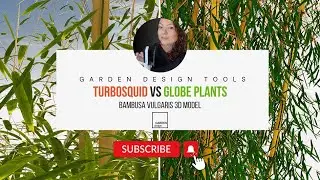 TurboSquid vs. Globe Plants: Which Bambusa vulgaris 3D Model is Worth Your Investment?