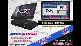 Arrangeur Cavagnolo Zenith One  SKA Mad