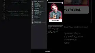 How to Show Image on Button Hover | Web Coding | CSS with Justin Young