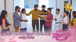 මෙහෙම Office එකක Vacancy නැද්ද මන්දා |  Paata Kurullo - පාට කුරුල්ලෝ