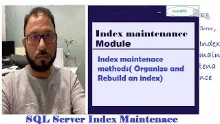 Index Maintenance Methods