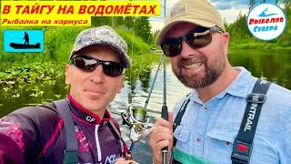 ✅ ХАРИУС🎣🐟🐟🐟l ПУТЕШЕСТВИЕ ПО ЛЕСНОЙ РЕЧКЕ НА ВОДОМЁТЕ #Рыболов_Севера #рыбалка2024