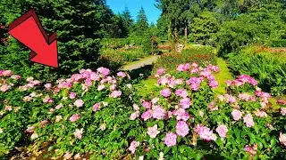 Rose Garden Children's Park Portland Oregon Full Tour 2024