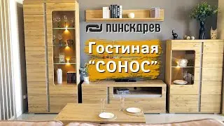 Гостиная Сонос от Пинскдрев