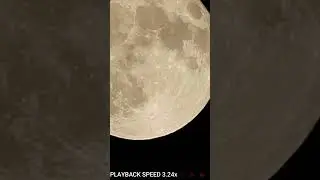 Blue Moon 