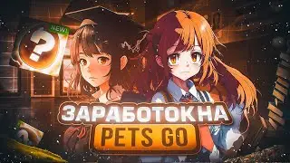 Пассивный Заработок в Roblox от 1000 рублей в день в режиме -  Pets go