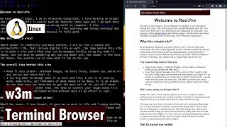 w3m is a good terminal browser