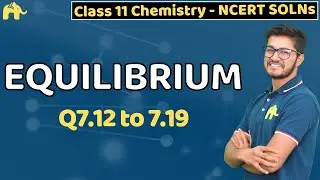 Equilibrium Class 11 Chemistry | Chapter 7 Ncert Solutions Questions 12-19