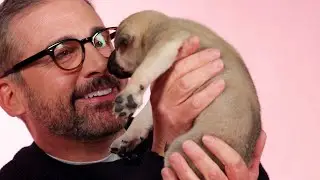 Steve Carell Plays With Puppies While Answering Fan Questions