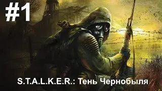 Вечерний стрим | STALKER  Тень Чернобыля #1