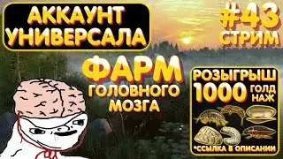 1000 голд наживки РОЗЫГРЫШ 🔥 Аккаунт универсала #43 стрим 🎁 Прем на TROVO 🎁 Русская Рыбалка 4 #1114