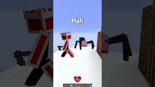 Types of Poor Players in Minecraft