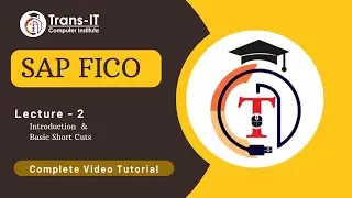 Lecture 2 - SAP  FICO | SAP S4HANA |  Introduction & Basic Shortcuts