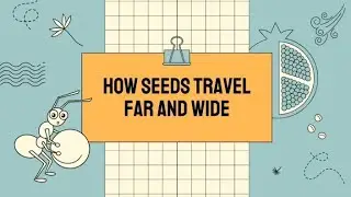 How seed travel far and wide|Plants grow process|Educational short video|Seeds Dispersal|Science Gk